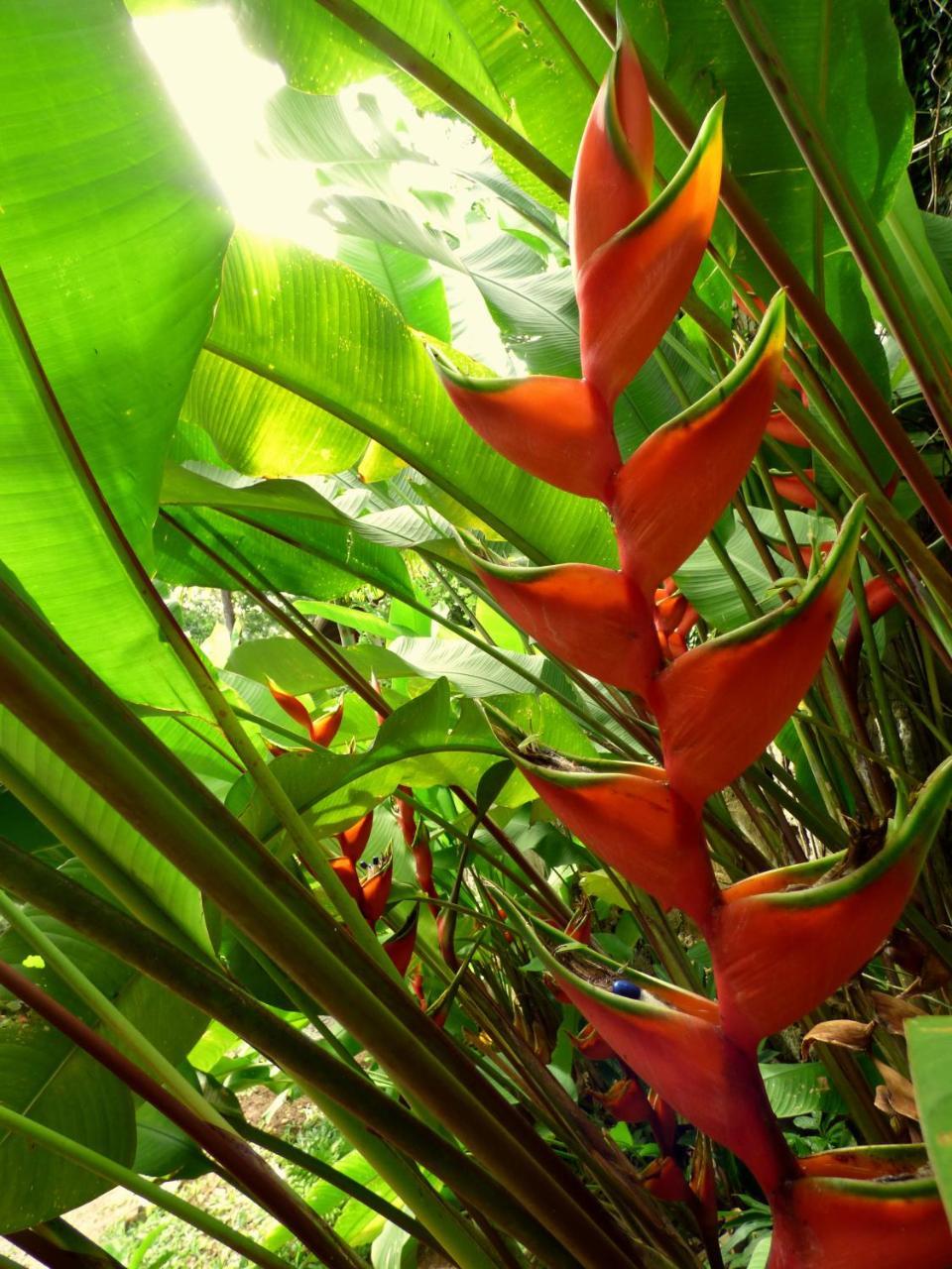 Casa Conduru Ostello Itacaré Esterno foto