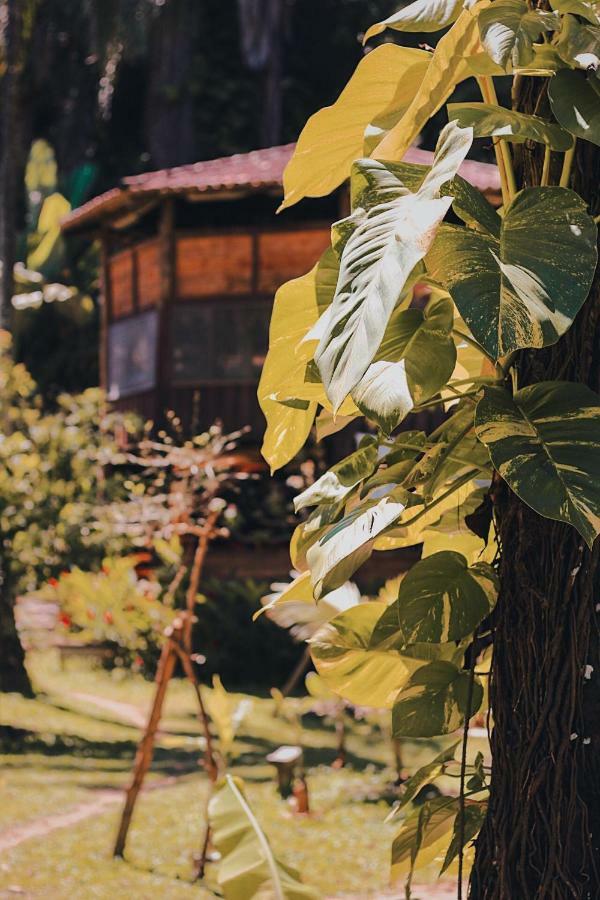 Casa Conduru Ostello Itacaré Esterno foto